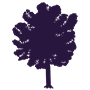 Beech tree icon in navy at 90px square