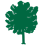 Beech tree icon in green at 90px square