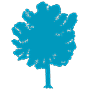 Beech tree icon in turquoise at 90px square