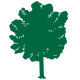 Beech Single Level tree icon