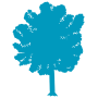 Beech Walkout tree icon